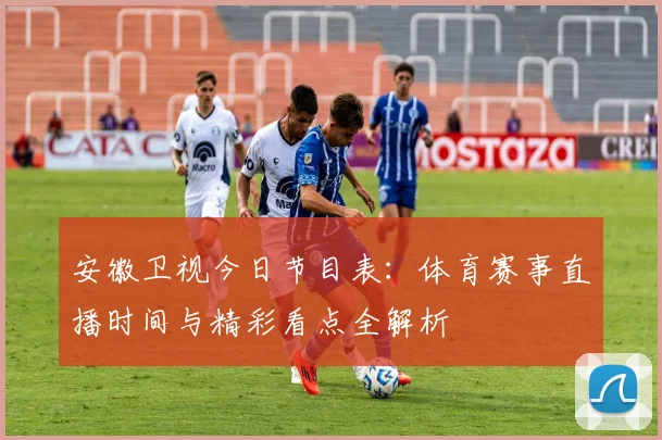 安徽卫视今日节目表：体育赛事直播时间与精彩看点全解析